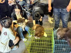 -铜锣湾国际购物中心