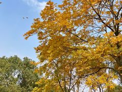 -东钱湖旅游度假区