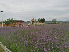 -羊亭河湿地公园