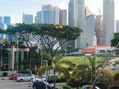 -新加坡瑞士史丹福酒店