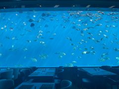 -瑞德姆美人鱼海底演艺主题餐厅(亚龙湾店)
