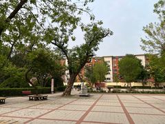 -羲和雅苑•北京烤鸭(乐园道万象城店)