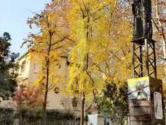 -徐家汇源景区-衡山公园