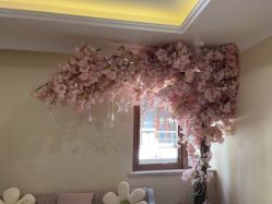 -万州华美紫馨整形美容医院