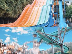 -重庆海昌加勒比海水世界