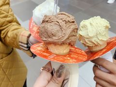 -野人先生现做冰淇淋(西安赛格店)