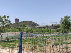 -永定河休闲森林公园