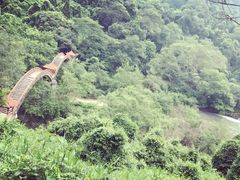 -广西龙虎山风景区