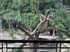 -宁波野生动物园