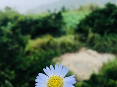 -东极岛景区