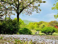 -白马涧龙池景区