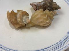 -小海丁