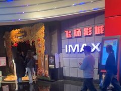 -飞扬影城(正佳IMAX店)