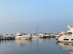 -渡海小渔村.老辈日照菜