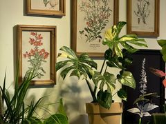 -自由生长植物工作室(深港花卉中心店)