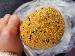 麻球-白玉兰食品(中山公园龙之梦店)