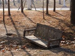 -上海海湾国家森林公园