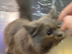 -解个谜沉浸剧情密室(天河店)