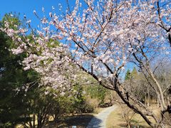 -东升八家郊野公园