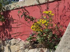 -天津盘山风景名胜区