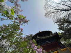 -潭柘寺景区