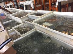 -拉威海鲜市场