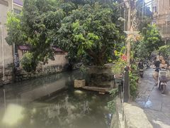 -小洲村
