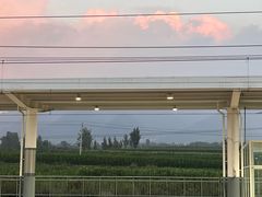 -同庆楼(大钟寺店)