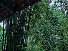-成都杜甫草堂博物馆