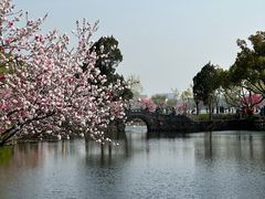 -无锡蠡湖国家湿地公园-蠡园