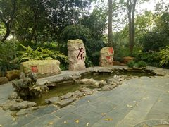 -金花茶公园