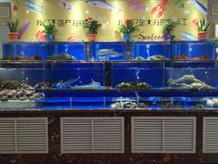 -河马鲜生海鲜超市(风荷园店)