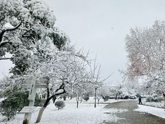 -橘子洲景区