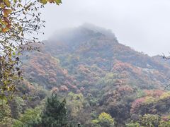 -秦岭终南山世界地质公园翠华山景区