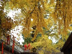 -金堂县云顶石城风景区