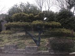 -朴园