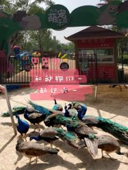 -萌宠亲子动物乐园(槐房万达店)