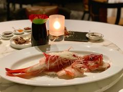 清蒸东星斑-宝丽轩中餐厅BAOLIXUAN