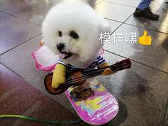 -南京路步行街