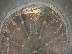 景点-晋祠博物馆