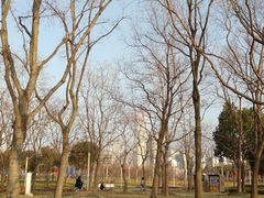 -上海山野camping·户外天幕烧烤·团建拓展营地