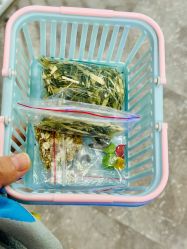 -神奇动物撸宠馆·羊驼·小浣熊·异宠(豫园店)