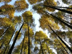 -山王坪喀斯特国家生态公园