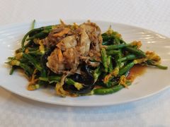 黄瓜花拌扇贝-双井轩(双井店)
