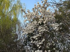 -西安汉城湖景区