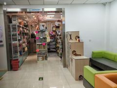 -北京观赏动物医院·24小时大型综合·猫专科·异宠专科