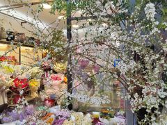 -武汉花鸟市场