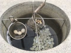 -凤翔首邑温泉度假村