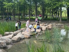 -上海浦江郊野公园-5号停车场