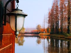 -黄海国家森林公园